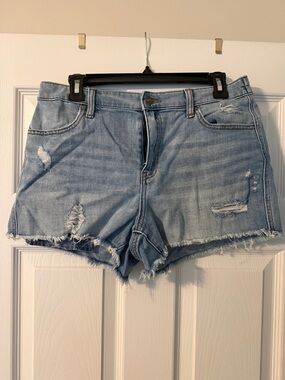 Aerie Light Blue Distressed Denim Shorts
